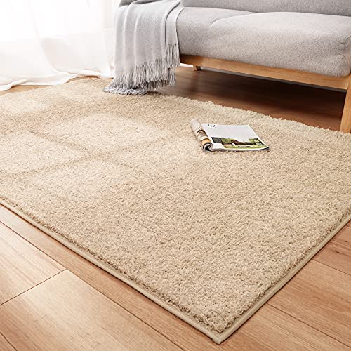 DEXI Area Rug Carpet Rugs Floor Mat Shaggy Carpets for Bedroom, Living Room