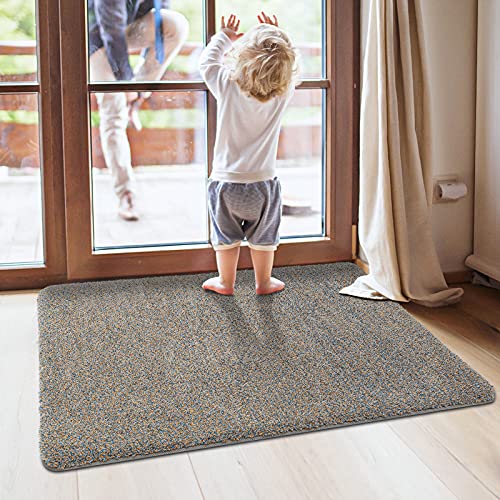 DEXI Doormat Entry Door Mat Indoor Rug Non Slip Soft Mats for