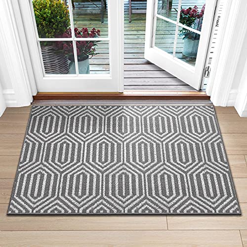 DEXI Indoor Doormat, Non Slip Absorbent Resist Dirt Entrance Rug, Machine Washable Low-Profile Inside Floor Door Mat