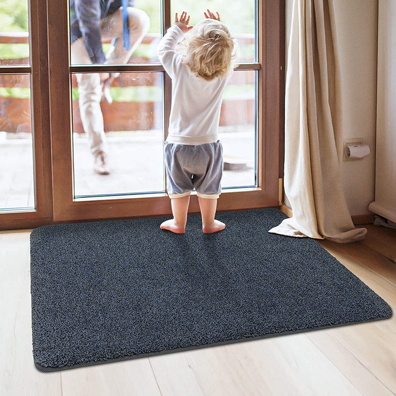 DEXI Doormat Entry Door Mat Indoor Rug Non Slip Soft Mats for Entrance –  Dexi
