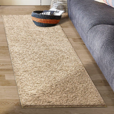 DEXI Area Rug Carpet Rugs Floor Mat Shaggy Carpets for Bedroom, Living Room